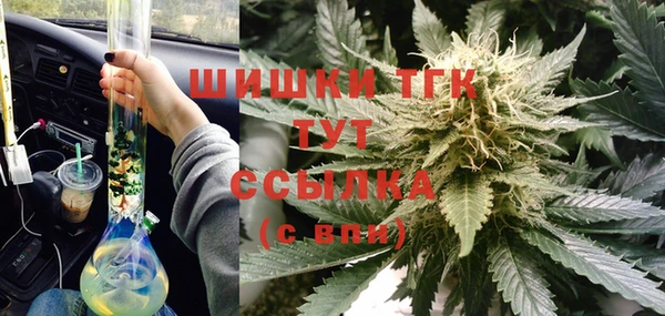 гидропоника Алзамай