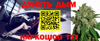 альфа пвп Владикавказ