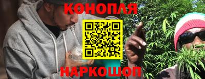 альфа пвп Владикавказ
