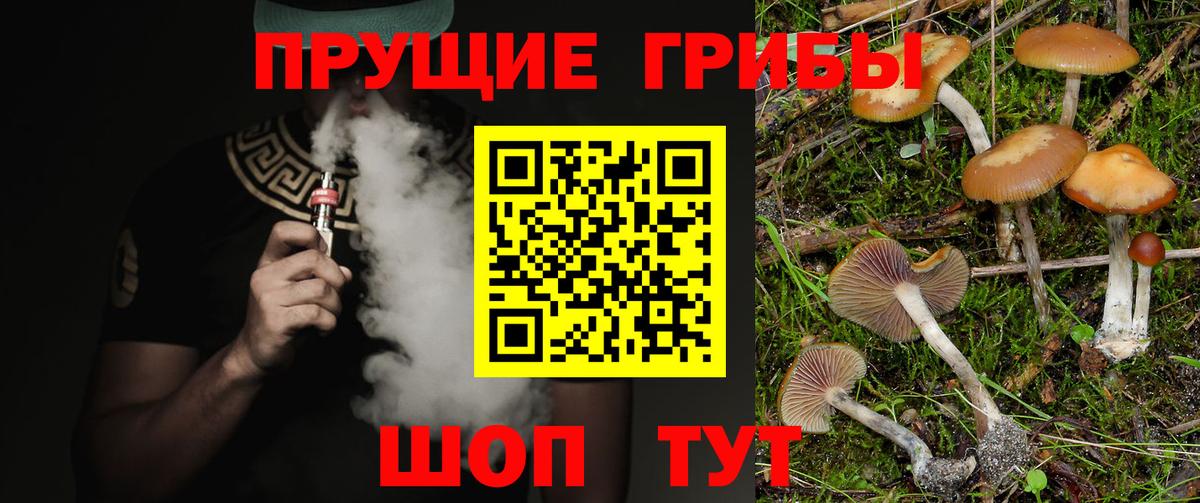 Галлюциногенные грибы ЛСД  Вход с VPN  Бахчисарай 
